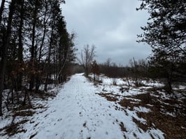33592151