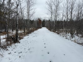 33592131