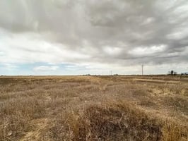 33615170