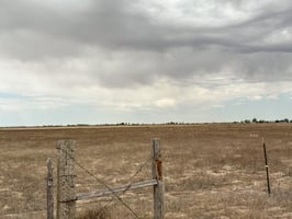 34416966