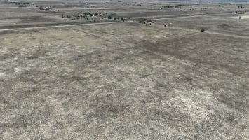 34416969
