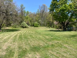 33683043