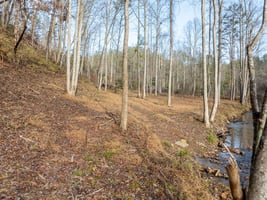 33622964