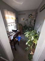 33628197