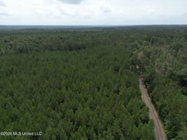 33629486