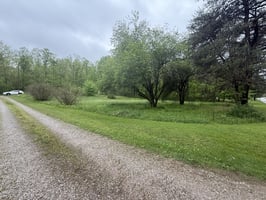 33633384