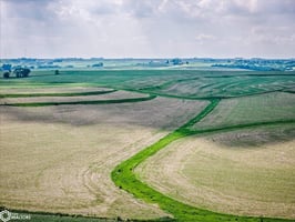 33636261