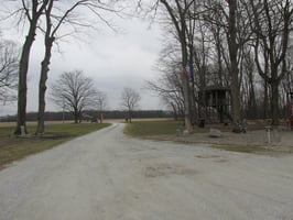 33636463