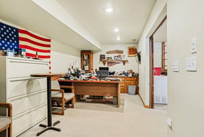 33636466