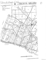 33646219