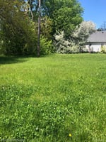 33647669