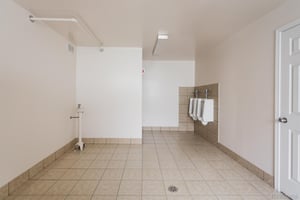 33648705