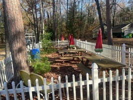 33649062