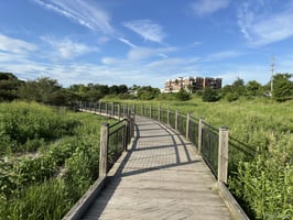 33656670