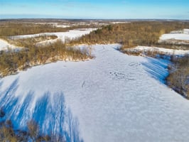 33662606