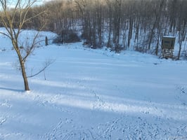 33662603
