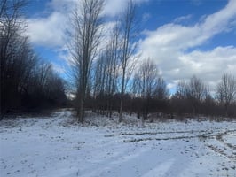 33665271