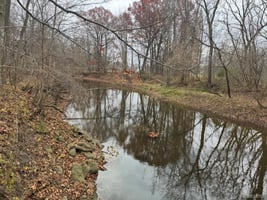 33665267