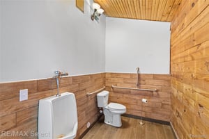 33667510