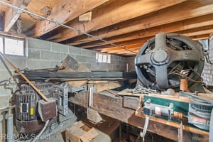 33667554