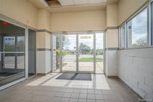 33673527