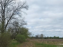 33673902