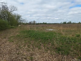 33673909
