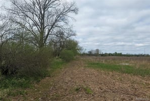 33673903