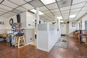 33675091