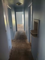 33684061