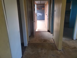 33684053