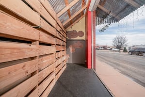 33686951