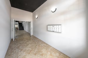 33688242