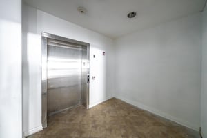 33688243