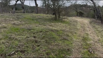 33689191