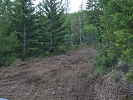 33694437