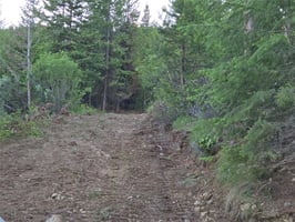 33694433