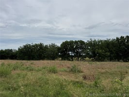 33694852