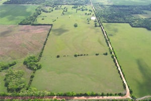 33694953
