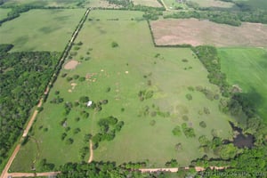 33694952