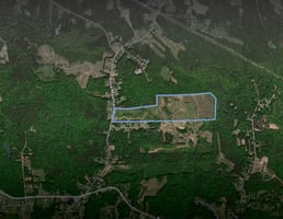 33695141