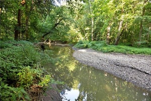 33695614