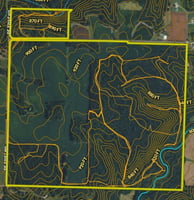 33695654