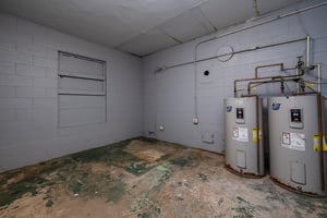 33700135