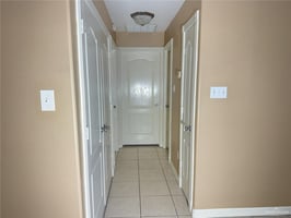 33702064