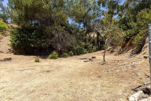 33715890