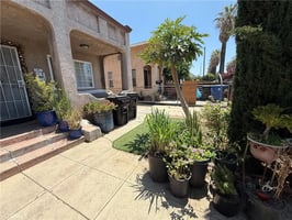 33716141
