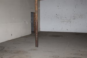 33721774
