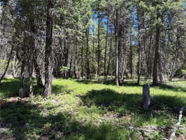 33721976