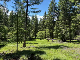 33721977